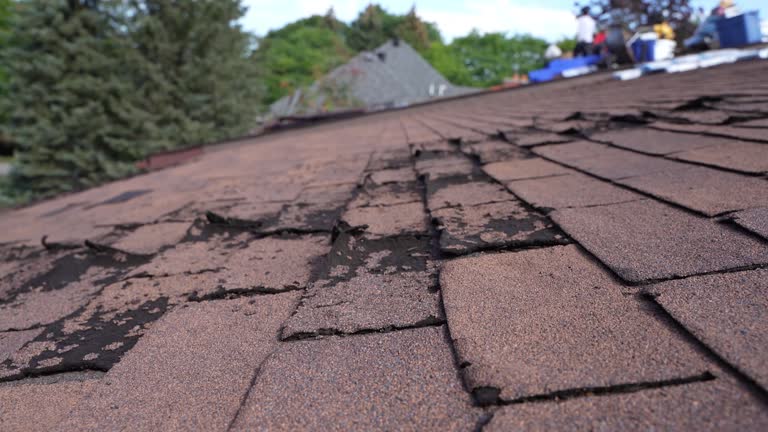 Best Hot Roofs  in Marion, SC