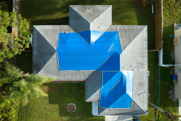 Best Roof Moss and Algae Removal  in Marion, SC